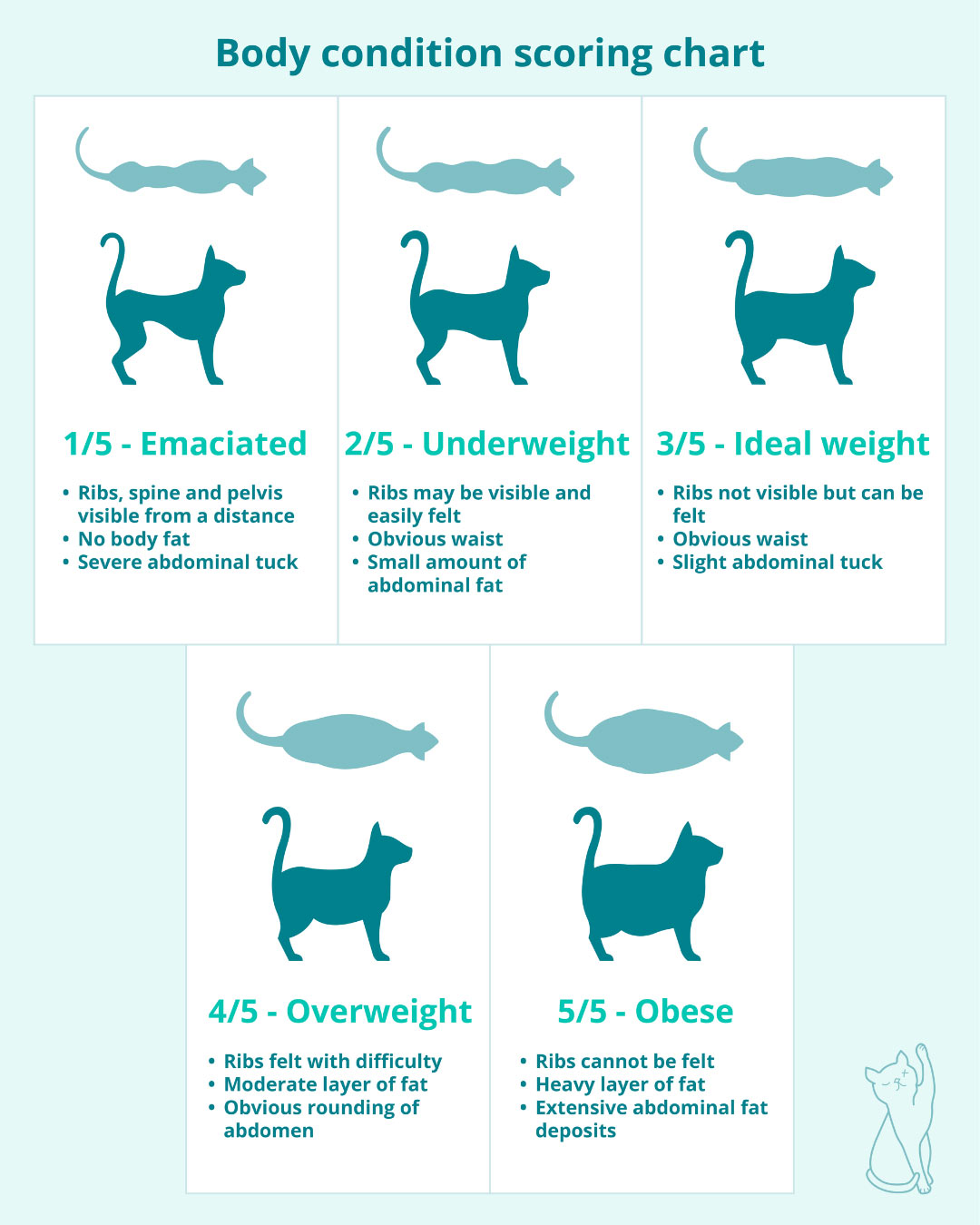 Cat body score chart
