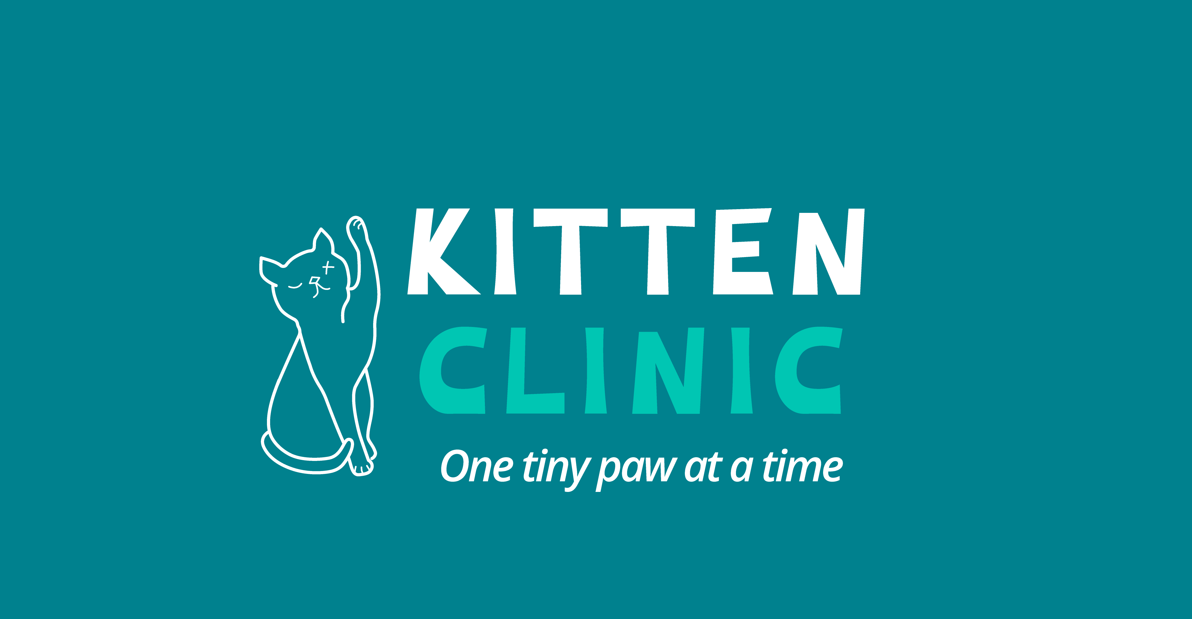 Kitten Clinic