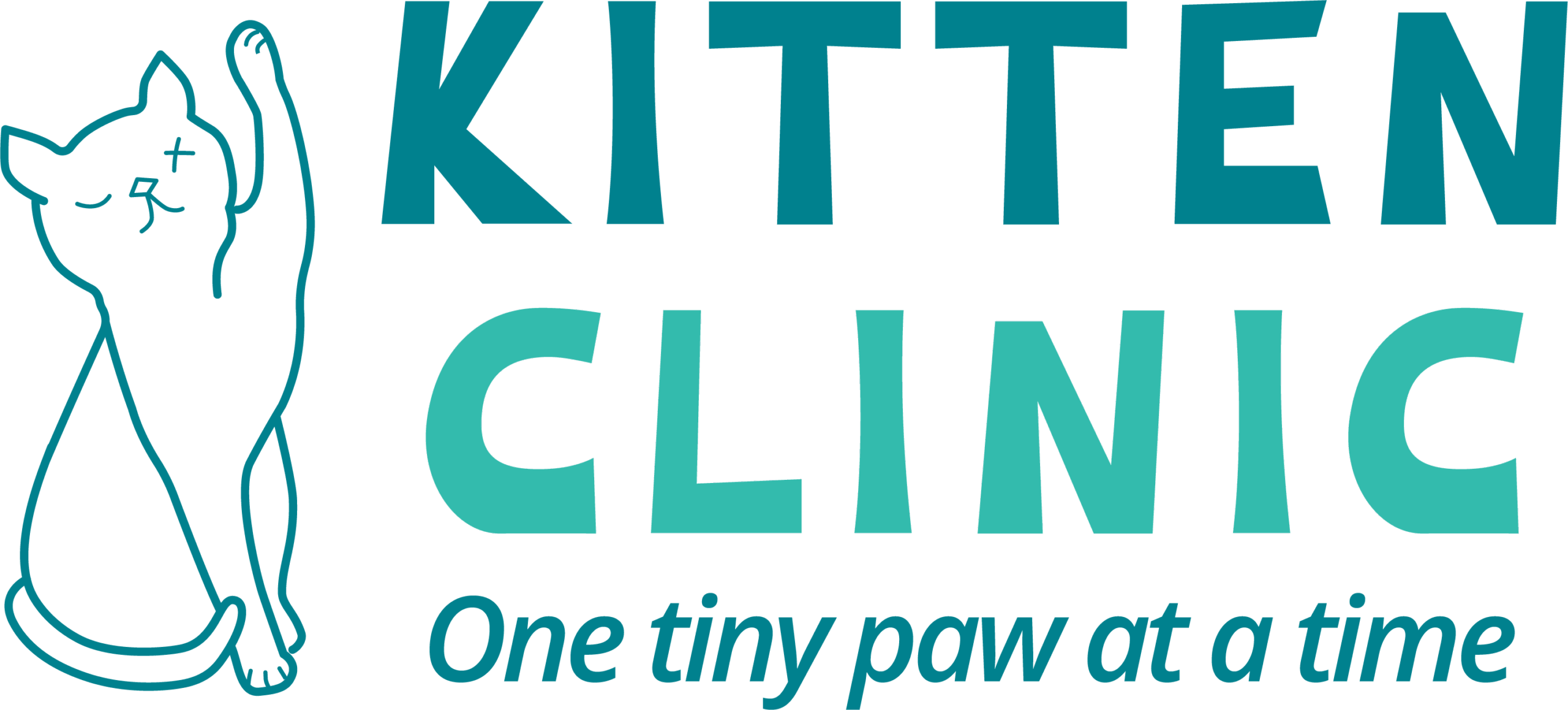 Kitten Clinic