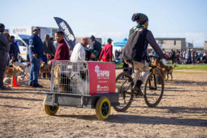 552605854_1199487745539333_7829960044561172835_n