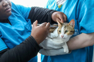 564607016_1219322373555870_936990962459013519_n